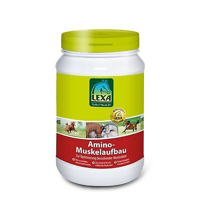Amino Muskelaufbau Lexa