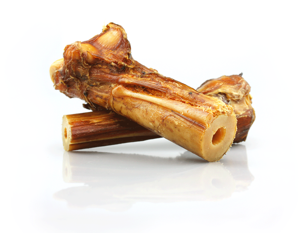 Karamio Pferde Knochen (18cm)