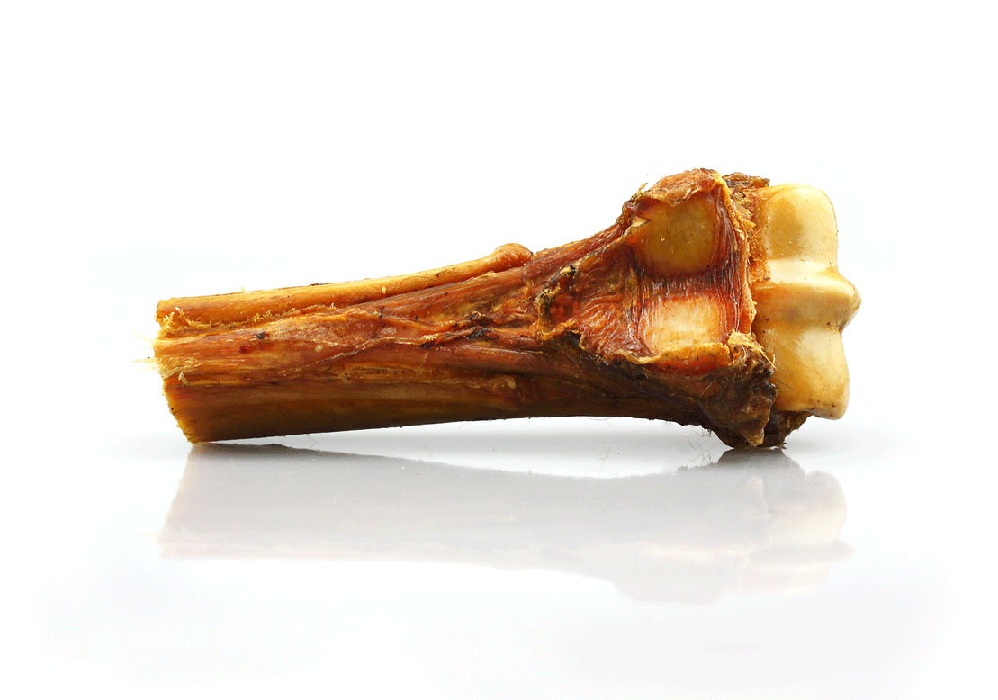 Karamio Pferde Knochen (18cm)