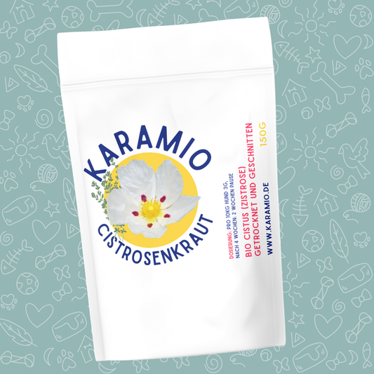 Cistrosenkraut – natürliche Zistrose zum Schutz & Immunsystem bei Hunden