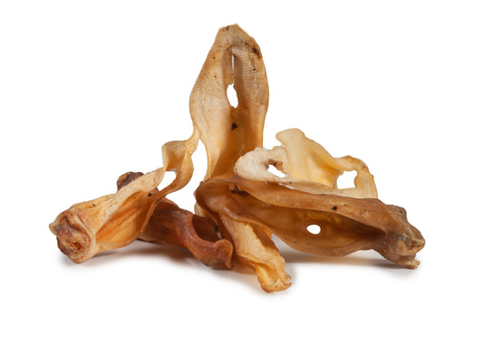 Karamio Lamm-Ohren mit Kopfhaut groß