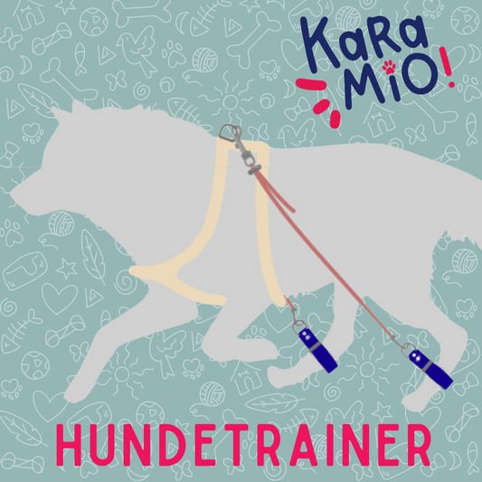 Clanivet Hunde-Trainer