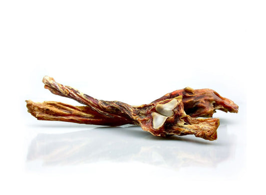 Karamio Pferde Achillessehne