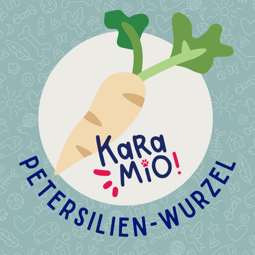 Karamio getrocknete Petersilienwurzel