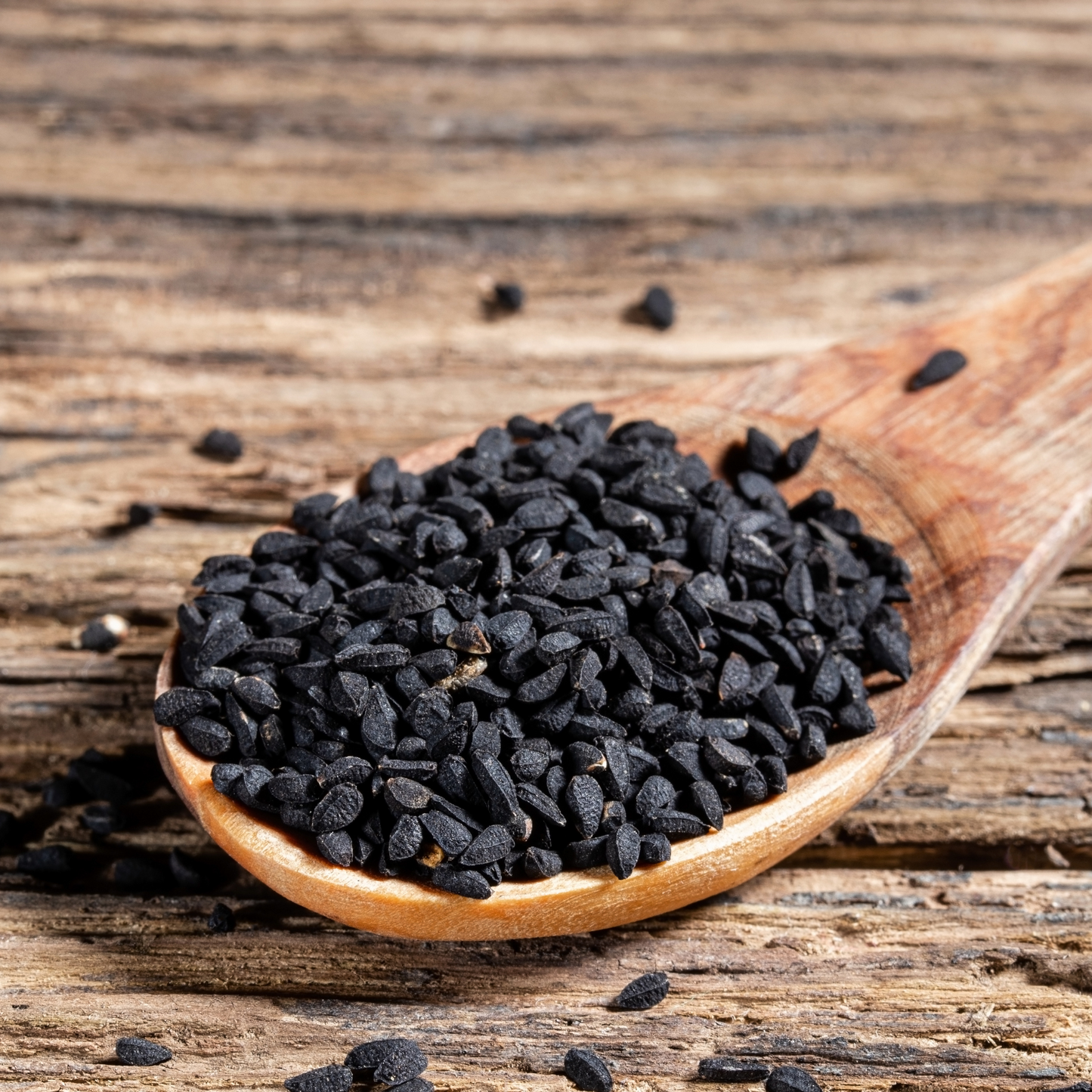 Karamio Schwarzkümmelsamen - der natürliche Zeckenschutz von innen