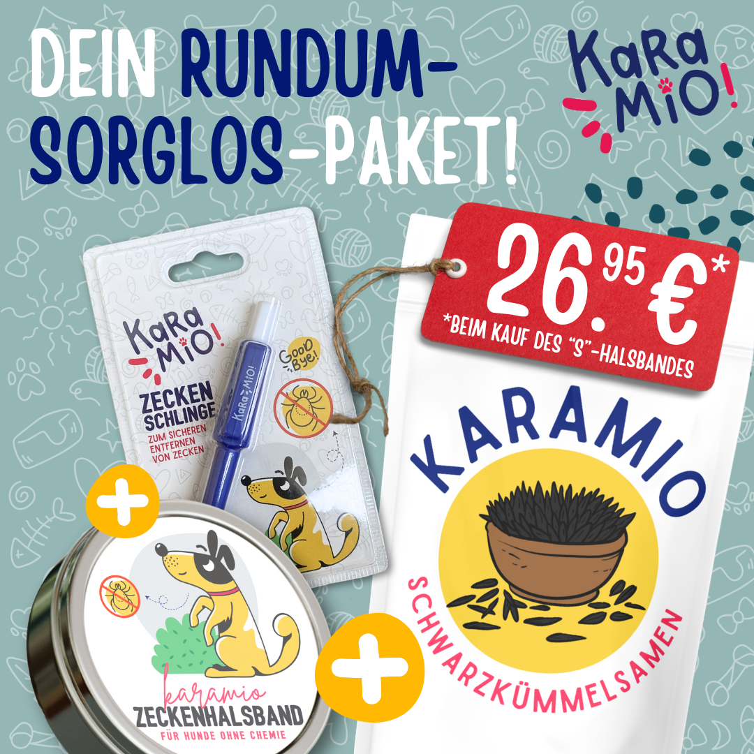 Rundum-Sorglos-Zeckenpaket