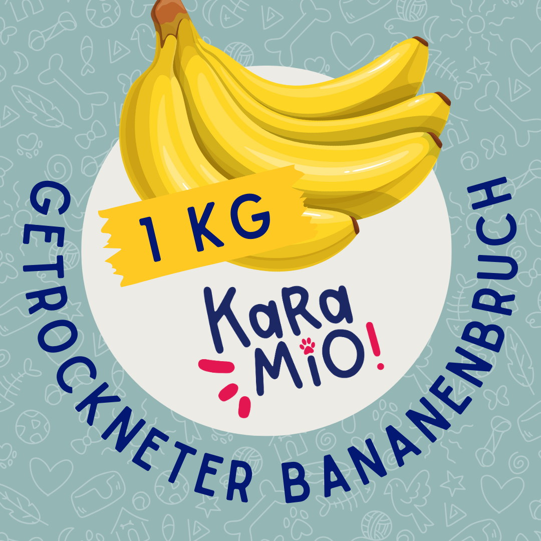 Karamio getrockneter Bananenbruch 1000g