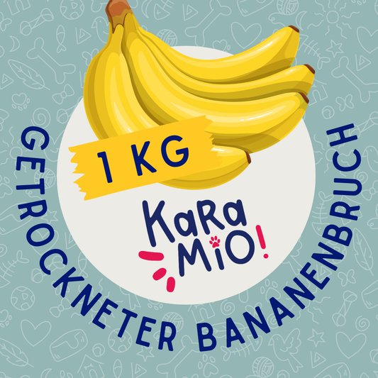 Karamio getrockneter Bananenbruch 1000g