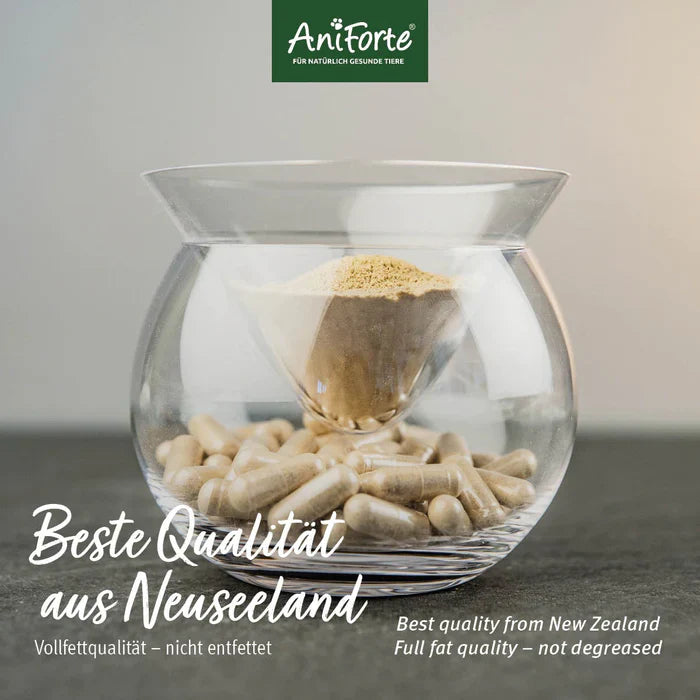 Aniforte Grünlippmuschel Kapseln