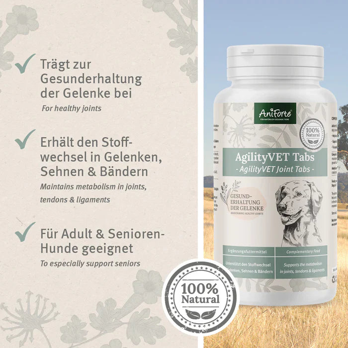 AgilityVET Tabs