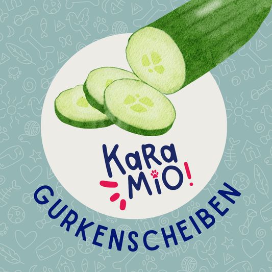 Karamio getrocknete Gurkenscheiben