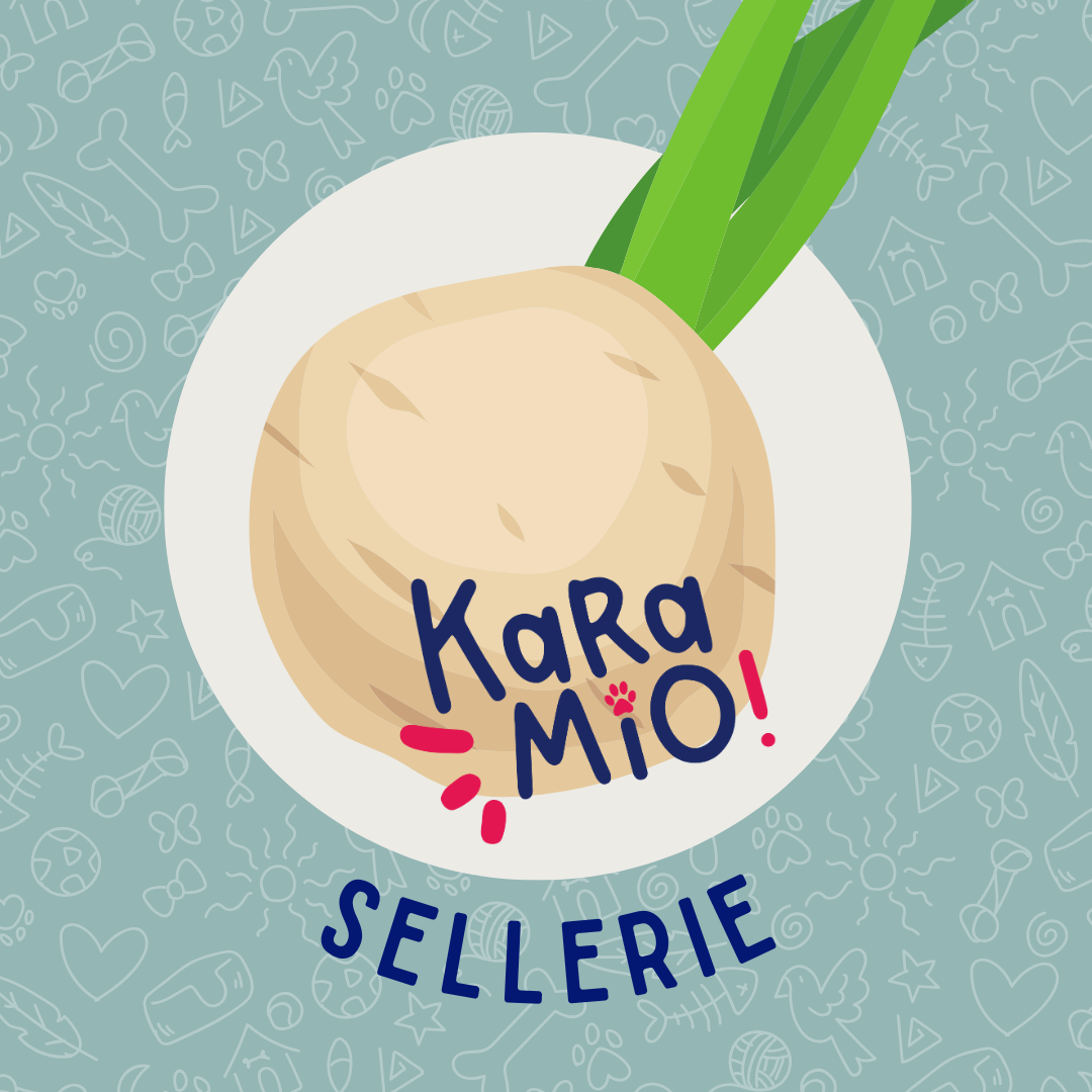 Karamio Sellerie – leicht verdauliche Gemüseergänzung für Hunde