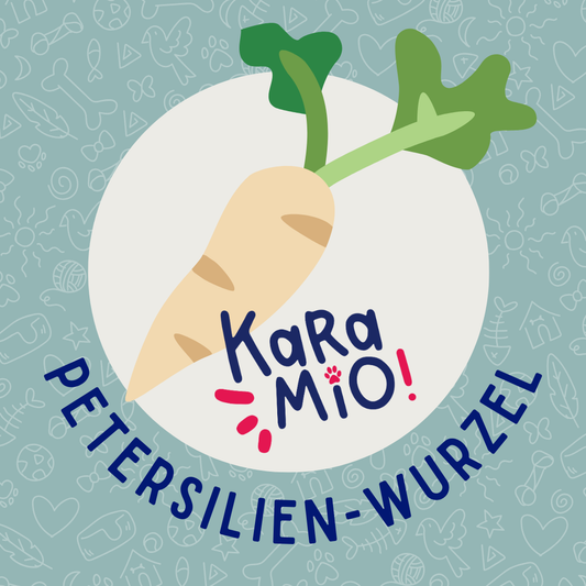 Karamio getrocknete Petersilienwurzel