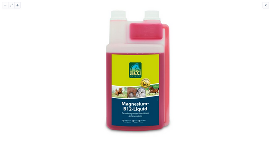 Lexa Magnesium B12 Liquid