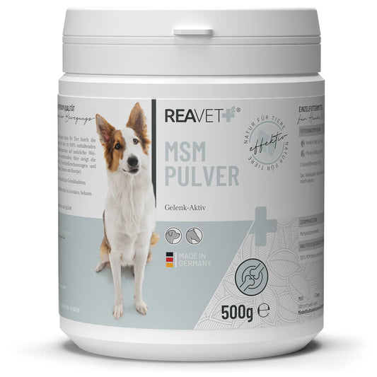 Reavet MSM Gelenk-Aktiv 500g