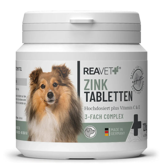 Zink Tabletten 120Stk